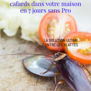 éliminer les cafards dans votre maison