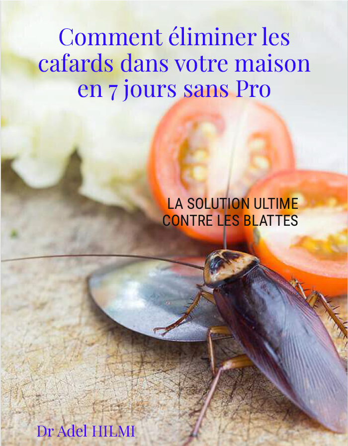 éliminer les cafards dans votre maison