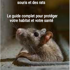 Comment se débarrasser des souris et des rats : le guide complet pour protéger votre habitat et votre santé